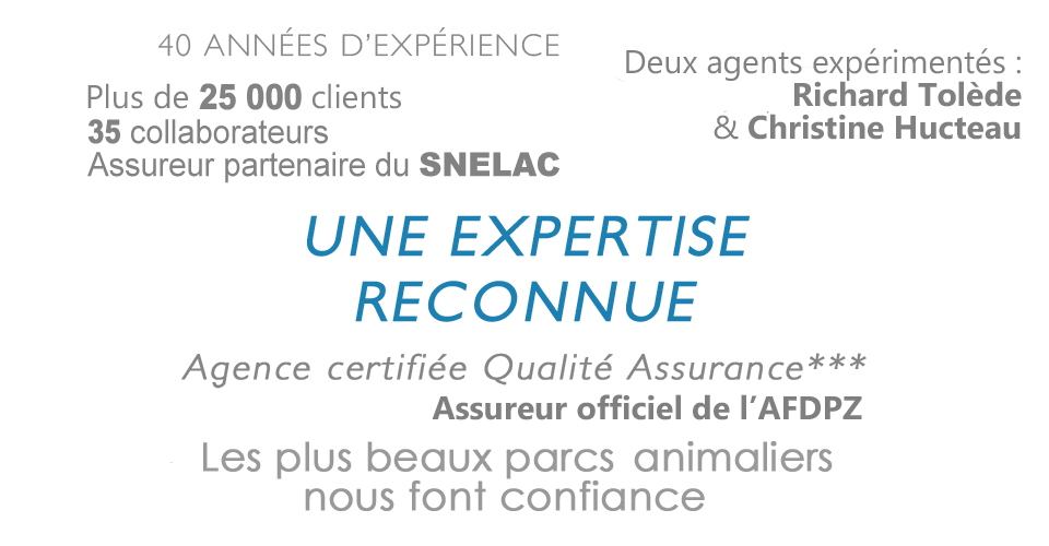 Assureur Tolède 40 années d'expérience, Tolede ZOO et PARCS agence certifiée qualité assurance, 25000 clients, équipe de 35 personnes